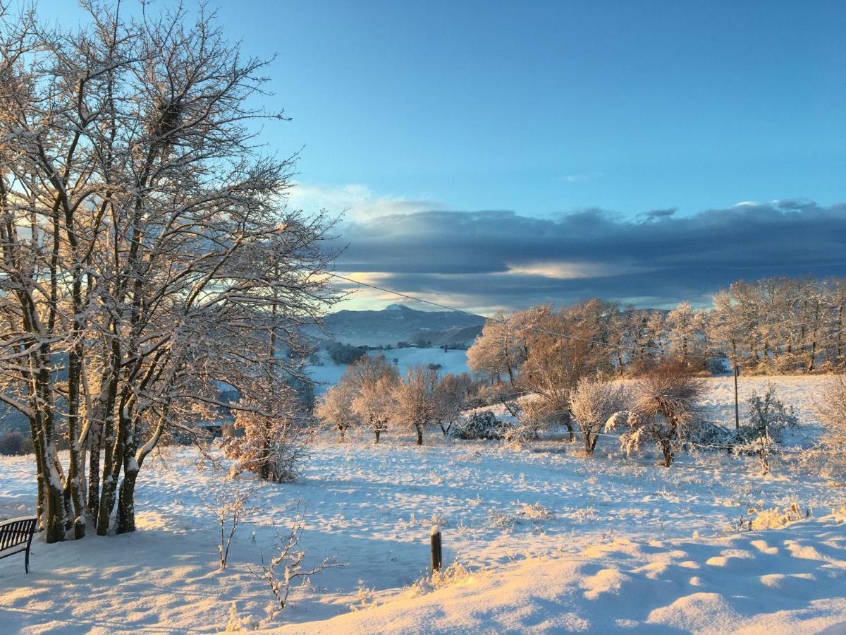 Agriturismo Il Filare Neviano degli Arduini Esterno foto